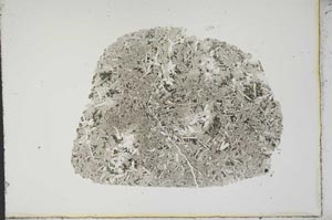 Plane Polarized, S13891