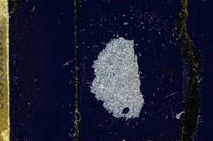 Cross Polarized, S13894