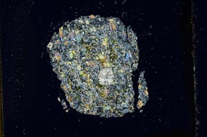 Cross Polarized, S13895