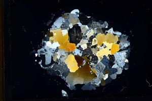 Cross Polarized, S13909