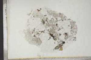 Plane Polarized, S13909