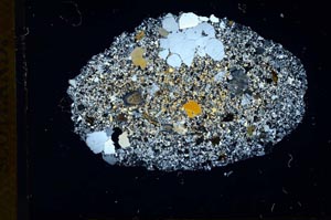 Cross Polarized, S13911