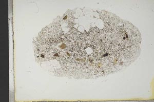 Plane Polarized, S13911