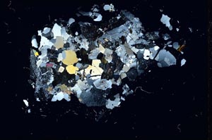 Cross Polarized, S13912