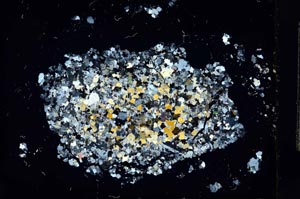 Cross Polarized, S13913