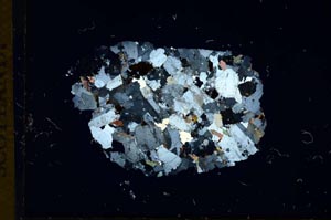 Cross Polarized, S13914