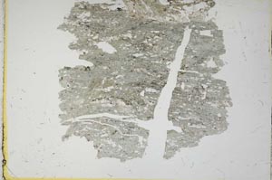 Plane Polarized, S13915/A