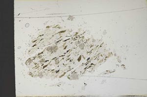 Plane Polarized, S13916
