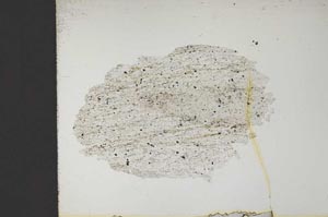 Plane Polarized, S13922/B