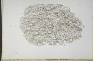 Plane Polarized, S13924
