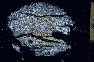 Cross Polarized, S13927