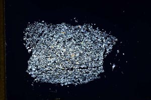 Cross Polarized, S13928