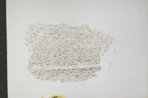 Plane Polarized, S13928