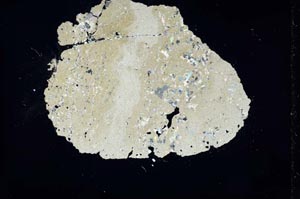 Cross Polarized, S13941