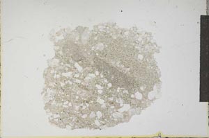 Plane Polarized, S13942