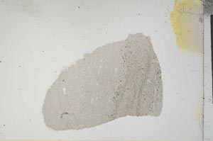 Plane Polarized, S13943