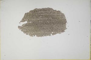 Plane Polarized, S13959