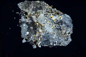 Cross Polarized, S13967