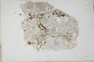 Plane Polarized, S13967