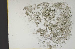 Plane Polarized, S13969