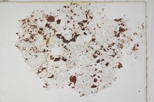 Plane Polarized, S13974