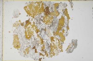 Plane Polarized, S13976