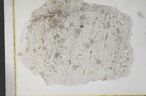 Plane Polarized, S13979/A