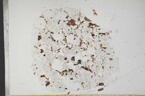 Plane Polarized, S13983