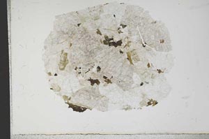 Plane Polarized, S13987