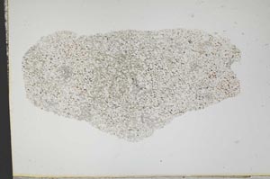 Plane Polarized, S13992