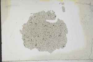 Plane Polarized, S13995