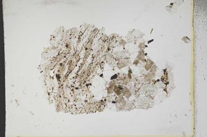 Plane Polarized, S13996