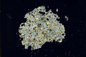 Cross Polarized, S14005