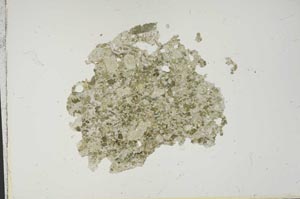 Plane Polarized, S14005