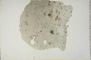 Plane Polarized, S14007