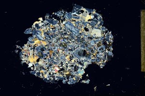 Cross Polarized, S14008