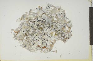 Plane Polarized, S14008