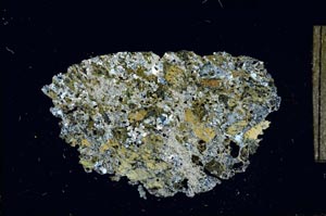 Cross Polarized, S14009