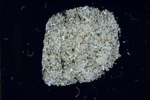 Cross Polarized, S14010