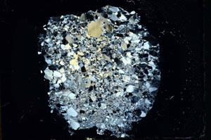 Cross Polarized, S14012