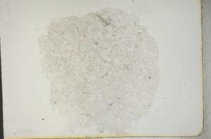 Plane Polarized, S14012