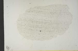 Plane Polarized, S14013