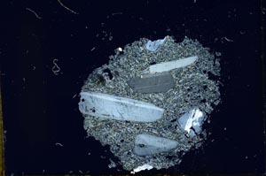 Cross Polarized, S14014