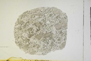 Plane Polarized, S14016