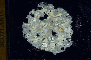 Cross Polarized, S14018