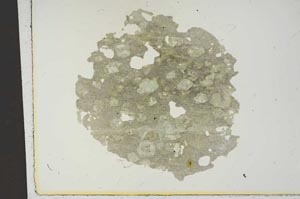 Plane Polarized, S14018