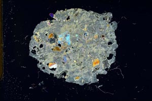 Cross Polarized, S14019