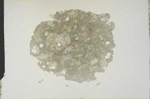 Plane Polarized, S14019