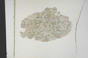 Plane Polarized, S14020