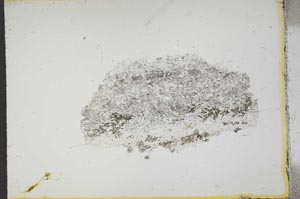 Plane Polarized, S14021